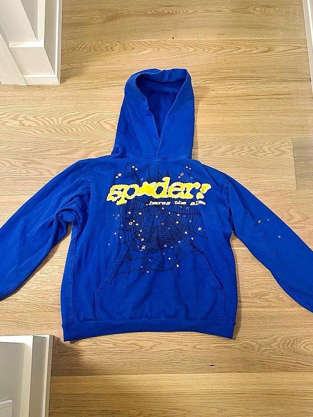 Blue Spider Hoodie